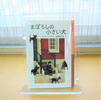 ベスト👍『まぼろしの小さい犬』