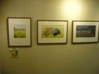 【草木鳥鳥文様展】ユカワさん初絵本作品『キジのかぞく』