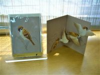 【草木鳥鳥文様展】展覧会限定販売、トリル（ユカワアツコ）の鳥のカード
