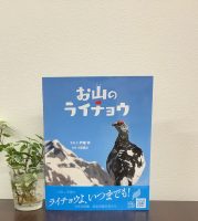クリーンヒット⚾ 『お山のライチョウ』