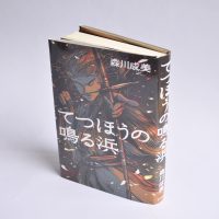 ベスト👍『てつほうの鳴る浜』