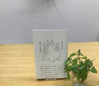 ベスト👍 『偶然の散歩』