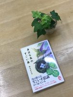 ベスト👍 『身近な鳥のすごい巣』