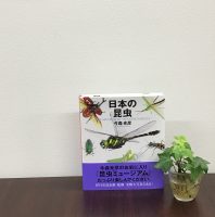 ベスト👍 『日本の昆虫』