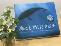 ベスト👍『海にしずんだクジラ』