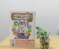 ベスト👍 『やまの動物病院② とらまる、山へいく』