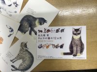 出久根育さんの猫のポストカード・13枚セット