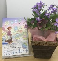 ベスト👍『波あとが白く輝いている』