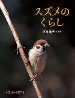 【たくさんのふしぎ40th】🤔『スズメのくらし』