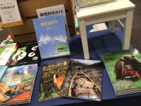 大竹英洋さんの講演会、募集を開始しています