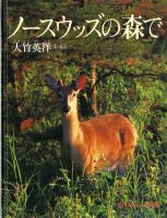 【たくさんのふしぎ40th】🤔『ノースウッズの森で』