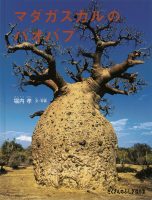 【たくさんのふしぎ40th】🤔『マダガスカルのバオバブ』