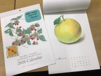 新着！「平山英三・平山和子カレンダー2026」と原画展の予告🎤