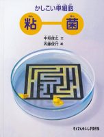 【たくさんのふしぎ40th】🤔『かしこい単細胞　粘菌』
