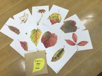 【平山英三絵本原画展】落ち葉ポストカード販売