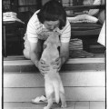 終了いたしました。盲導犬クイールの一生　写真展７月２７日(金)～８月２６日(日)