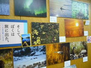 大竹英洋さんミニパネル展開催中！