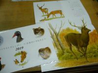 薮内正幸カレンダー、今年は入荷しています