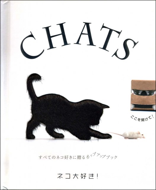 ネコ大好き