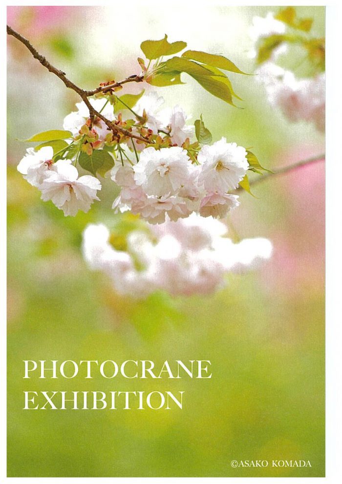 「花に親しみ花を撮る」　Photocrane写真展